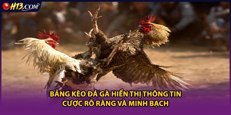 Bảng kèo đá gà hiển thị thông tin cược rõ ràng và minh bạch