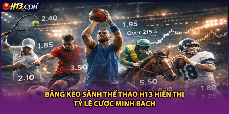Bảng kèo sảnh thể thao H13 hiển thị tỷ lệ cược minh bạch